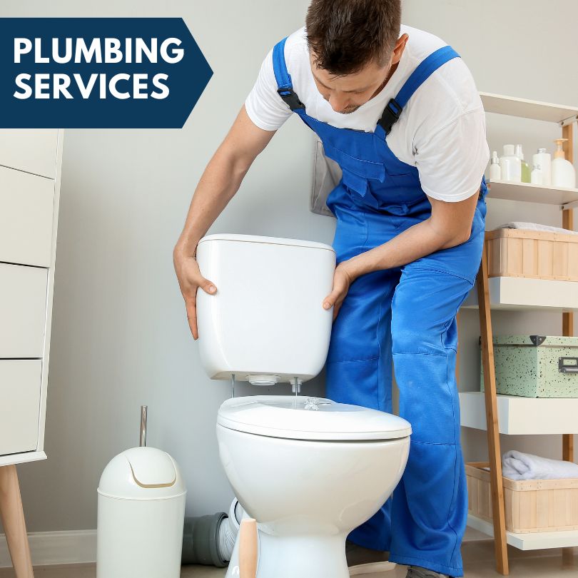 Plumbing Company in Estero, FL